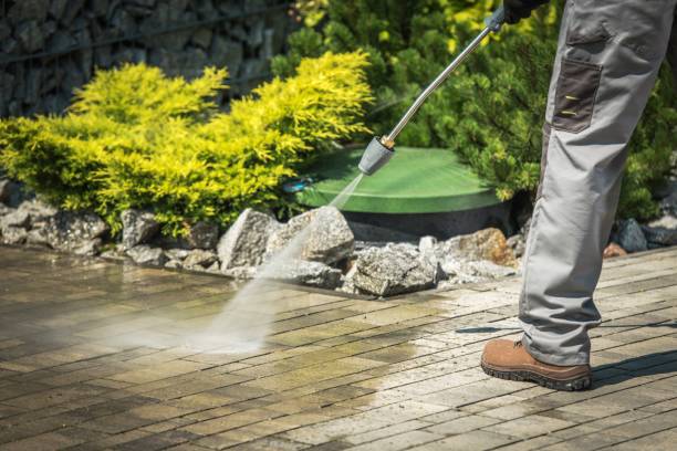 Best Pre-Holiday Cleaning  in Sullivan City, TX