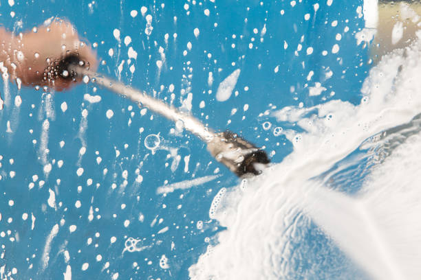 Best Animal Enclosure Cleaning  in Sullivan City, TX